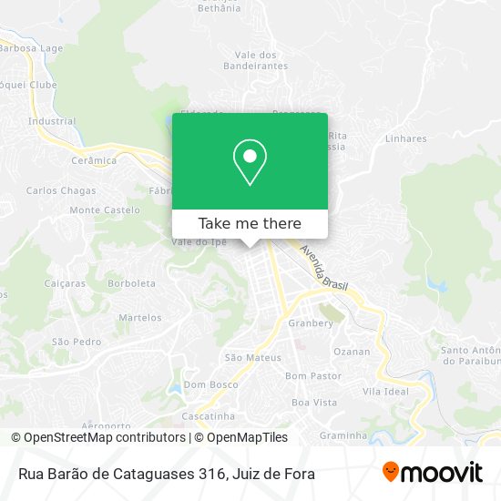 Rua Barão de Cataguases 316 map