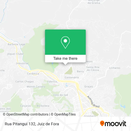Rua Pitangui 132 map