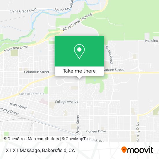 X I X I Massage map