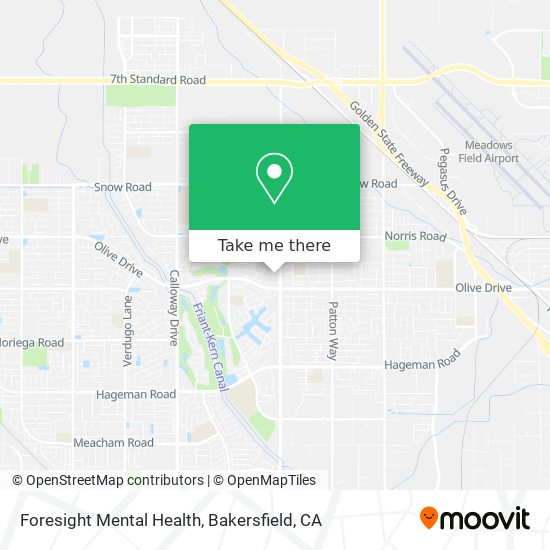 Foresight Mental Health map