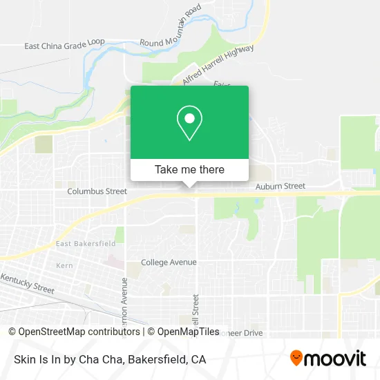 Skin Is In by Cha Cha map