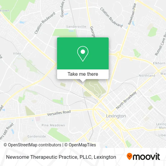 Mapa de Newsome Therapeutic Practice, PLLC
