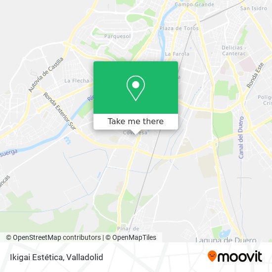 Ikigai Estética map