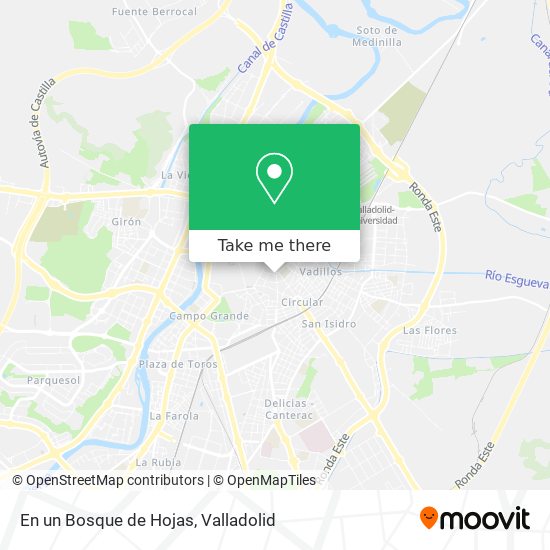 En un Bosque de Hojas map