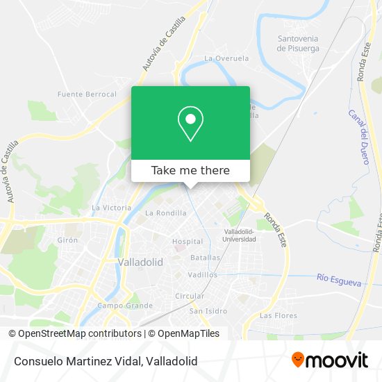 Consuelo Martinez Vidal map