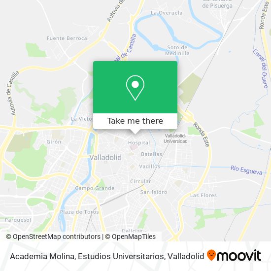 Academia Molina, Estudios Universitarios map