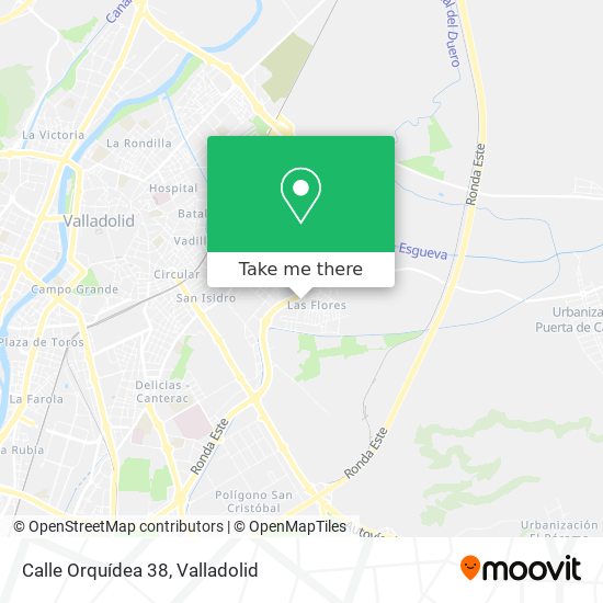 Calle Orquídea 38 map