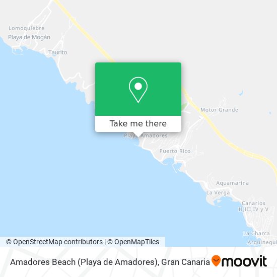 How to get to Amadores Beach (Playa de Amadores) in Mog�30 by Bus?