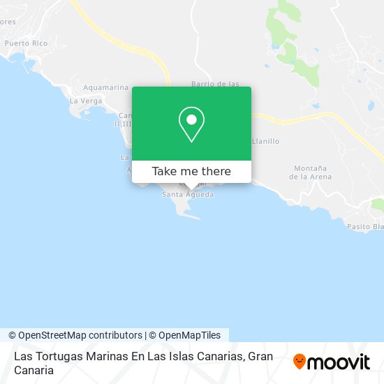 Las Tortugas Marinas En Las Islas Canarias map