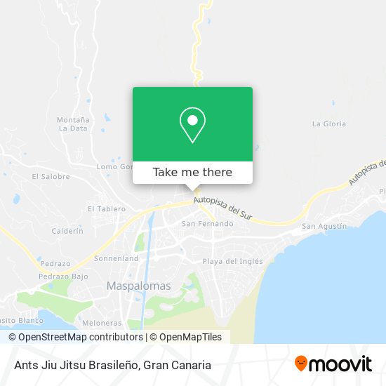 Ants Jiu Jitsu Brasileño map