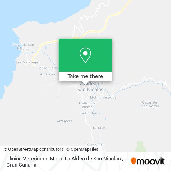 Clínica Veterinaria Mora. La Aldea de San Nicolas. map