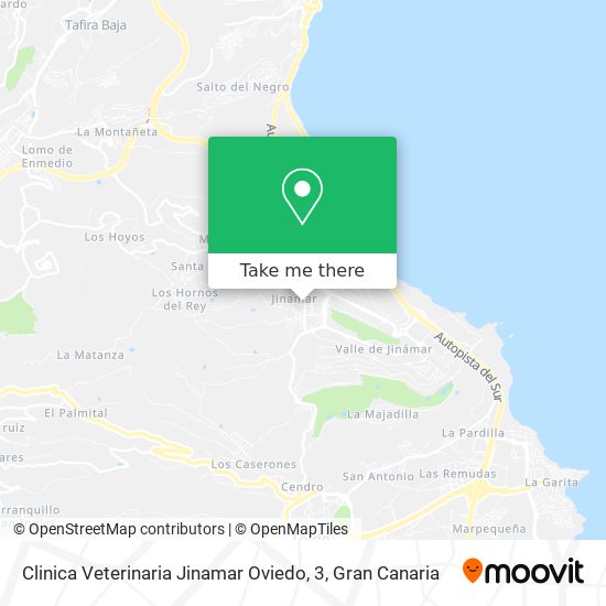 Clinica Veterinaria Jinamar Oviedo, 3 map