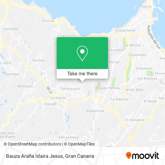 Bauza Araña Idaira Jesus map