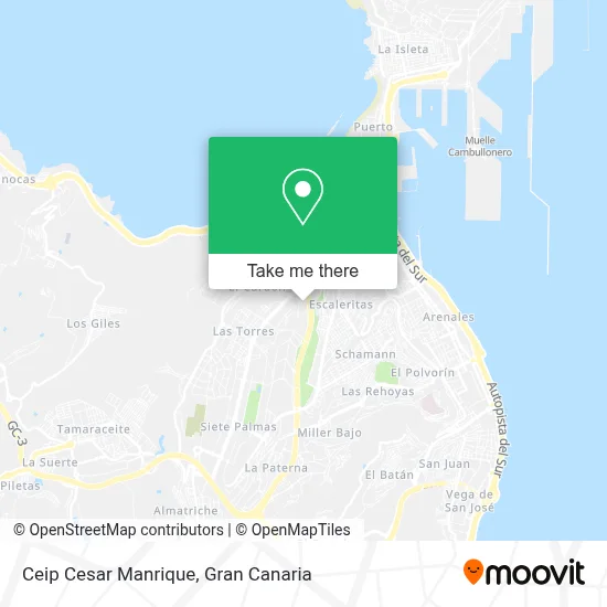 Ceip Cesar Manrique map