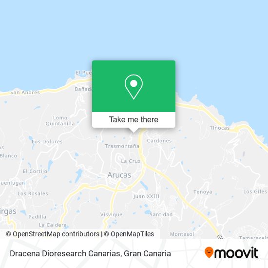 Dracena Dioresearch Canarias map