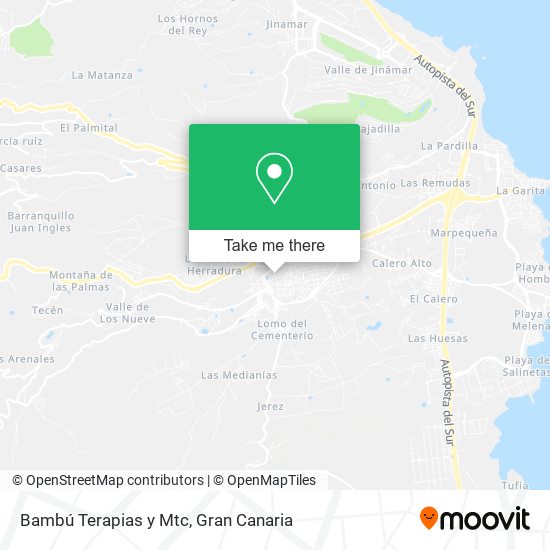 Bambú Terapias y Mtc map
