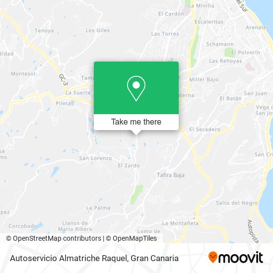 Autoservicio Almatriche Raquel map