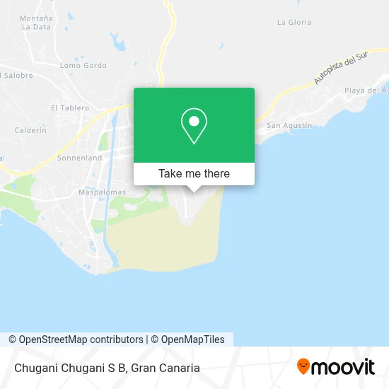 Chugani Chugani S B map