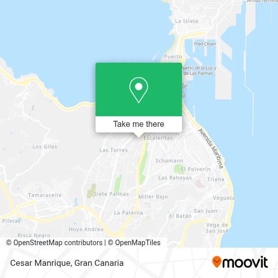 Cesar Manrique map