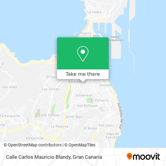 Calle Carlos Mauricio Blandy map