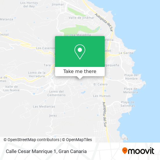 Calle Cesar Manrique 1 map