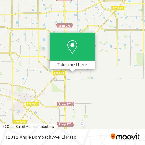 12312 Angie Bombach Ave map