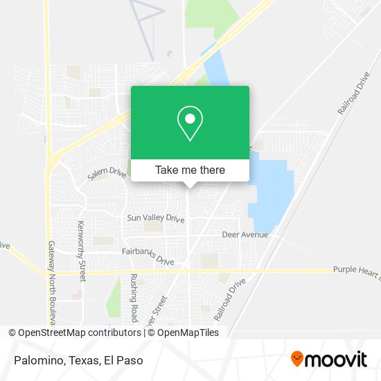 Palomino, Texas map