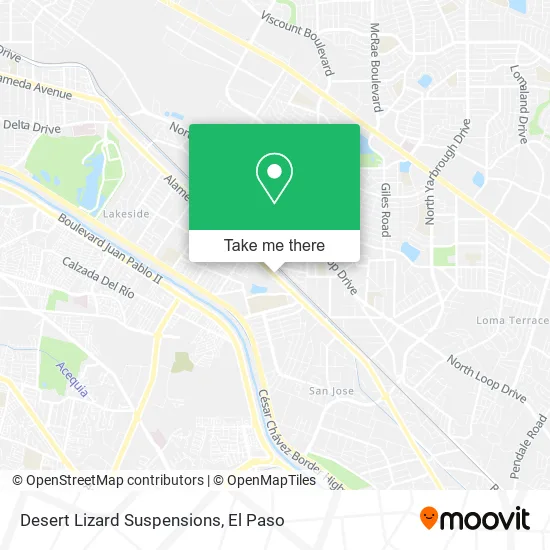 Desert Lizard Suspensions map