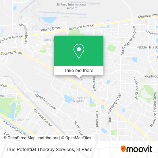 True Potential Therapy Services map