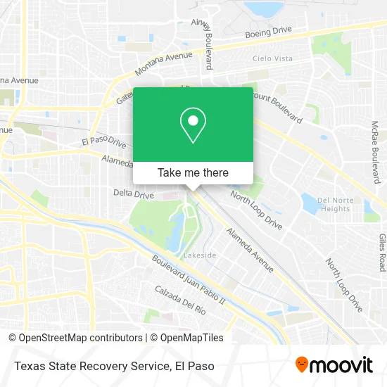 Texas State Recovery Service map