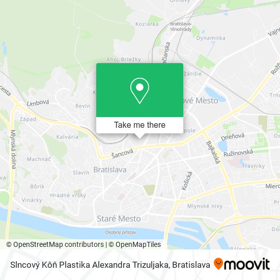 Slncový Kôň Plastika Alexandra Trizuljaka map