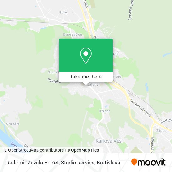 Radomir Zuzula-Er-Zet, Studio service map