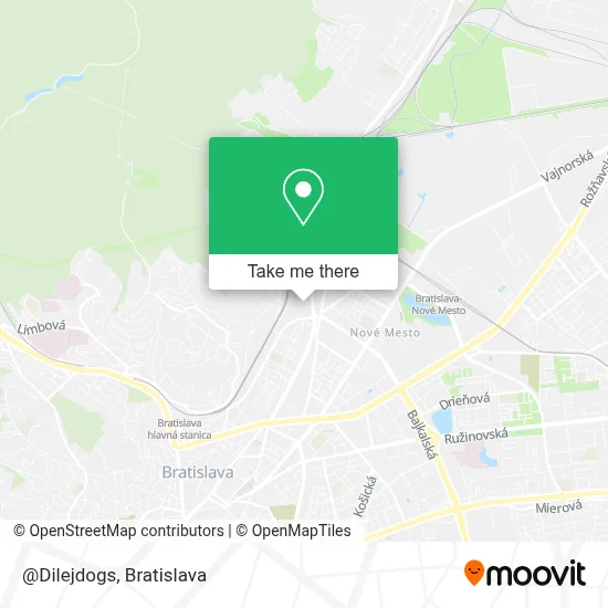 @Dilejdogs map