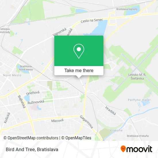 Bird And Tree map