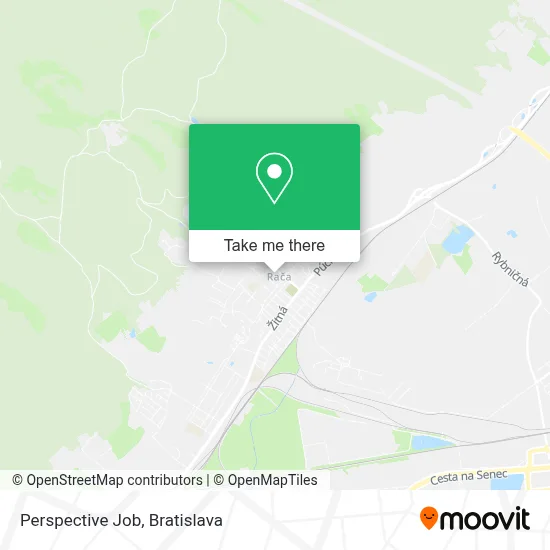 Perspective Job map