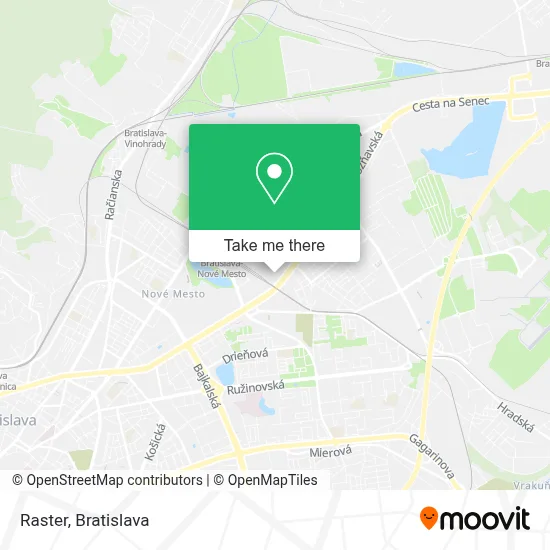 Raster map