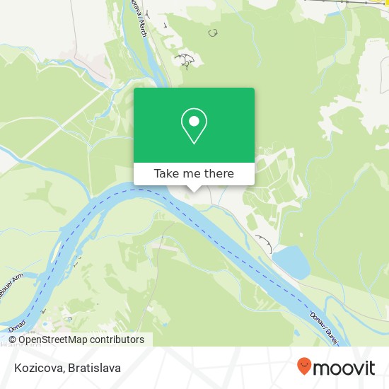 Kozicova map