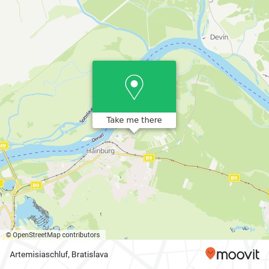 Artemisiaschluf map