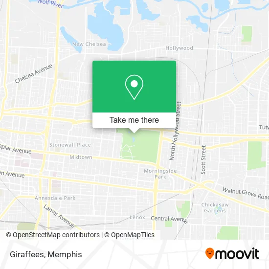 Giraffees map