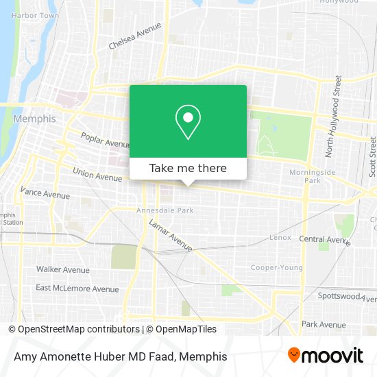 Mapa de Amy Amonette Huber MD Faad