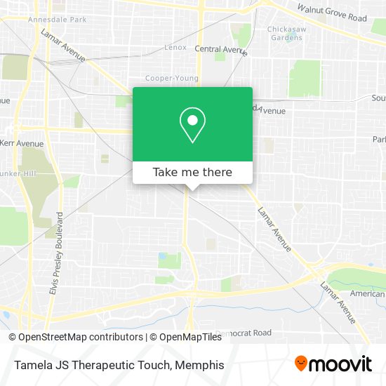 Mapa de Tamela JS Therapeutic Touch
