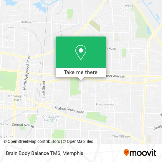 Brain Body Balance TMS map