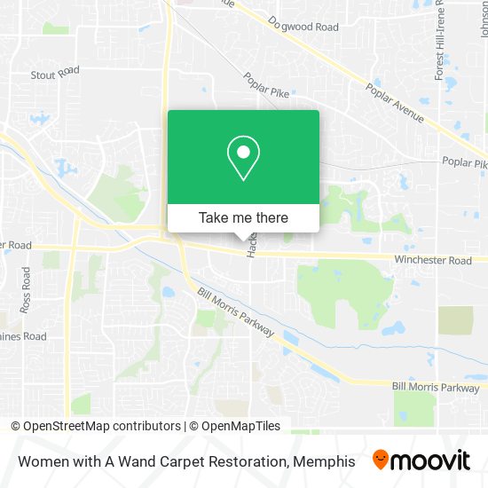 Women with A Wand Carpet Restoration map
