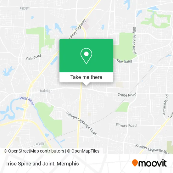 Irise Spine and Joint map