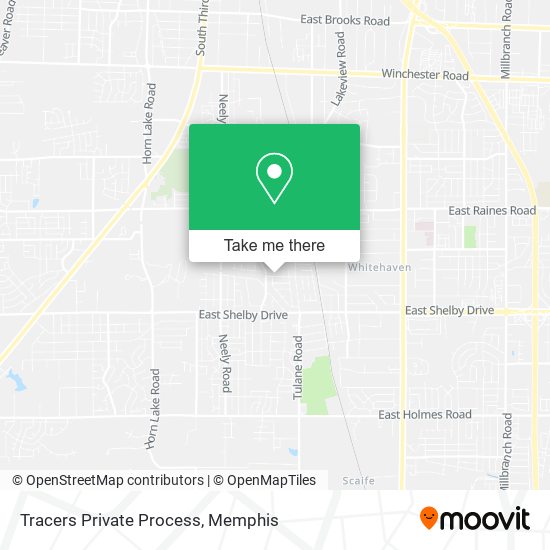 Tracers Private Process map