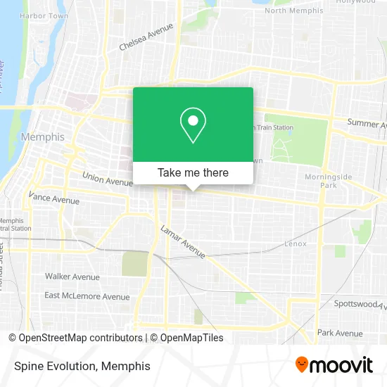 Spine Evolution map