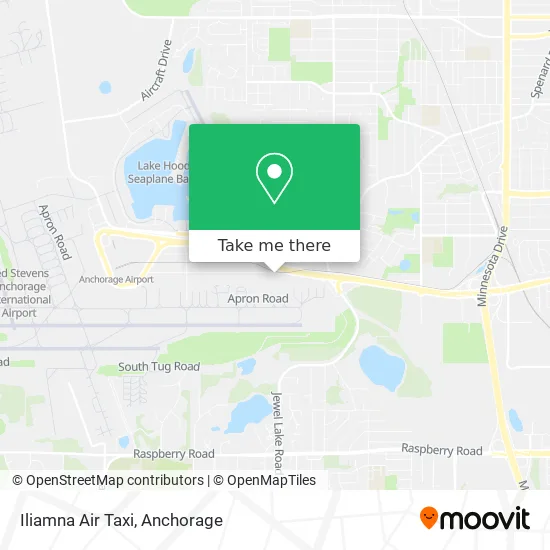 Mapa de Iliamna Air Taxi