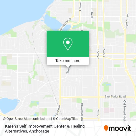 Karen's Self Improvement Center & Healing Alternatives map