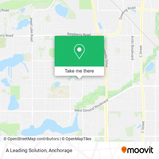 A Leading Solution map