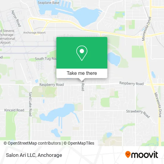Mapa de Salon Ari LLC
